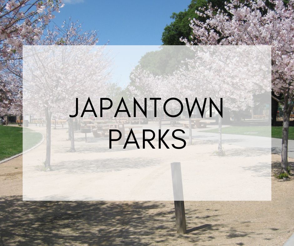 (Square Website Pics)Michelle Elliott, Willow Glen, San Jose, Realtor Square Photos - Cherry trees in Japantown, San Jose at Bernal Park