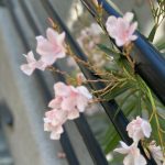 800 N 8th Street, flowers