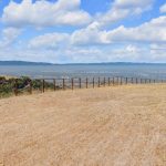 Wide angle view of open land and blue sky on San Jose foothill property.