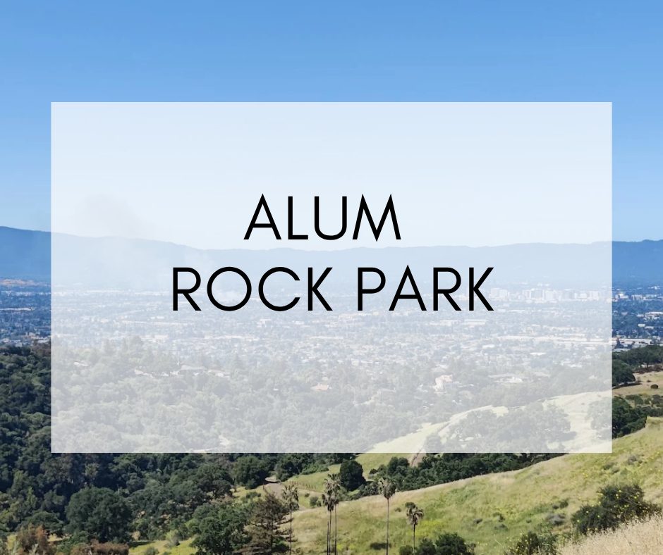 Located in East San Jose, Alum Rock offers so much for visitors and residents alike.