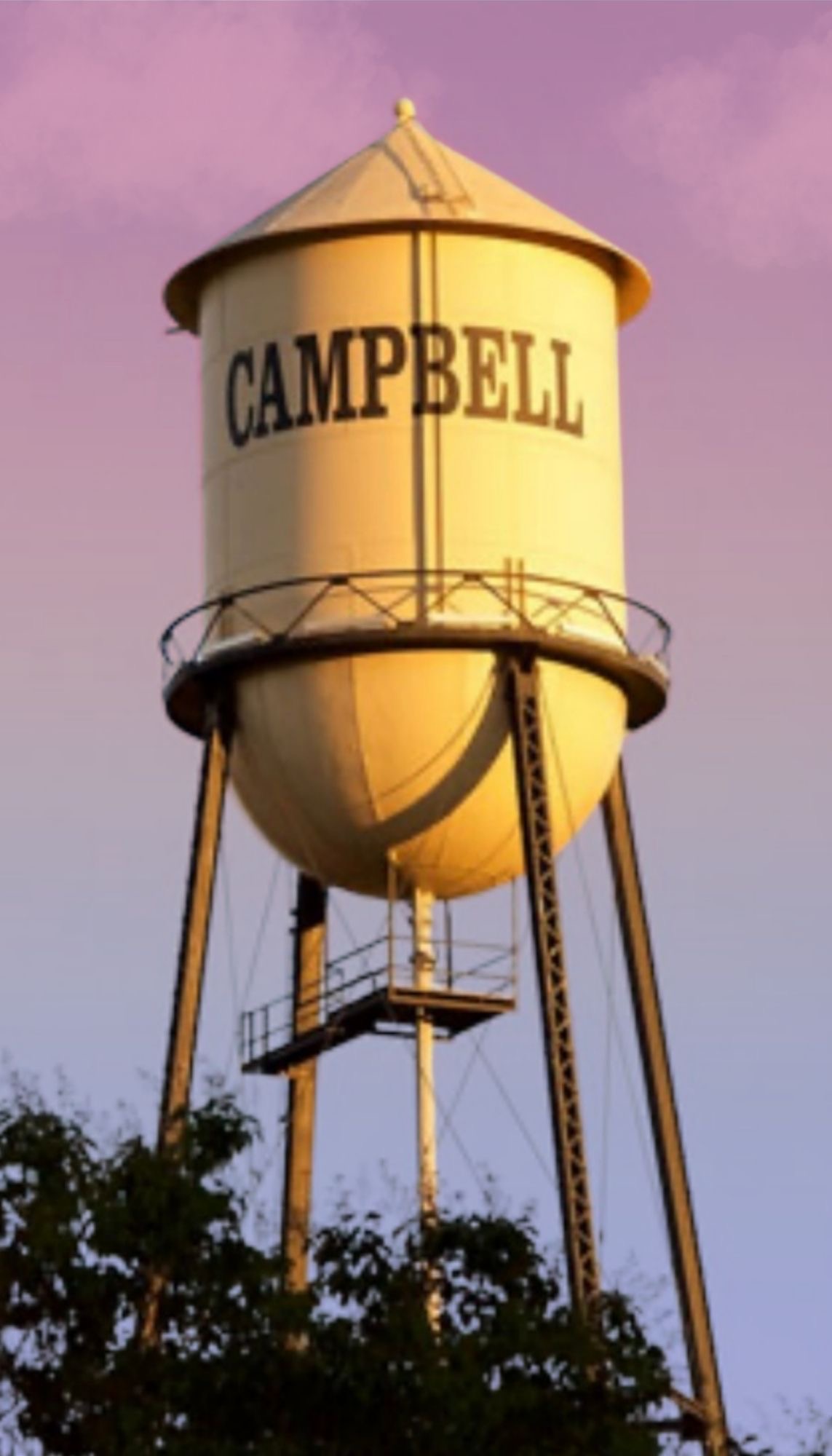Campbell CA homes for sale near Downtown Campbell by San Jose Realtor Michelle Elliott