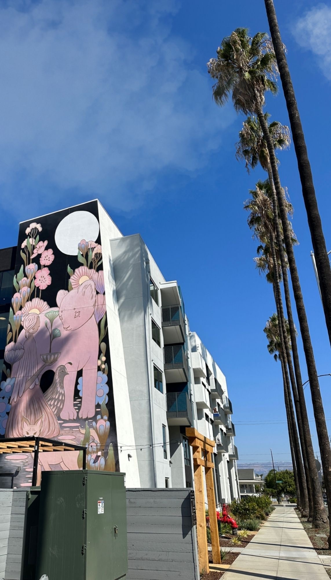 Historic Japantown San Jose homes and neighborhood guide by Realtor Michelle Elliott