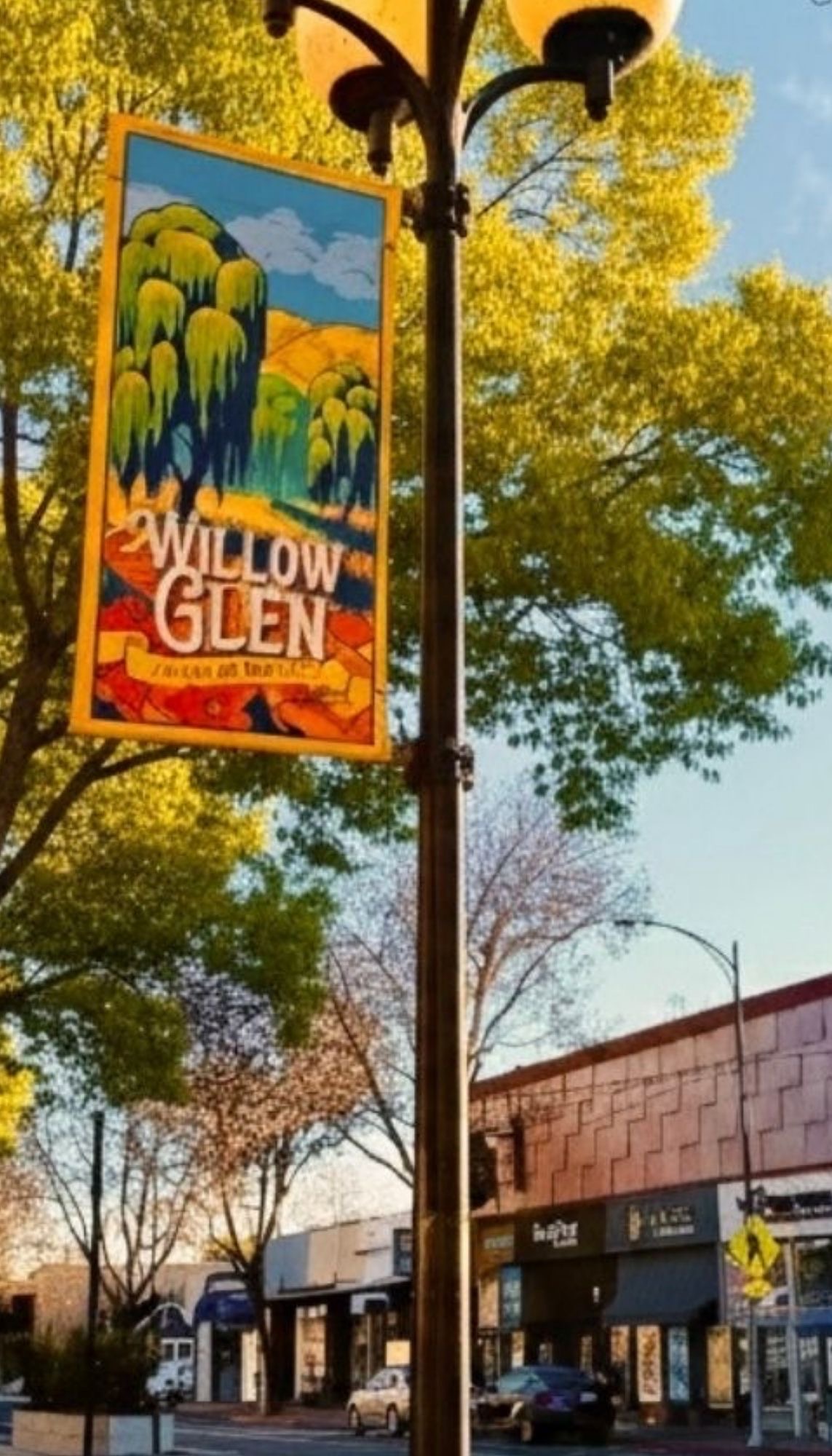 Michelle Elliott, San Jose Realtor specializing in Willow Glen homes for sale